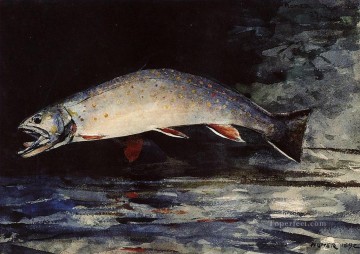 watercolor landscape Painting - A Brook Trout Winslow Homer watercolor